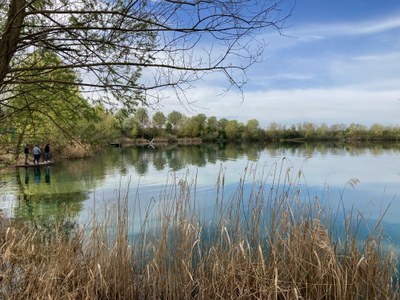 IMG_9658.jpeg IMG_9658.jpeg