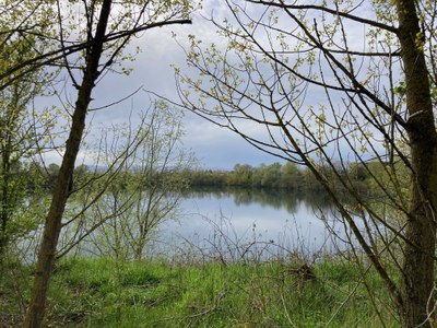 IMG_9684.jpeg IMG_9684.jpeg